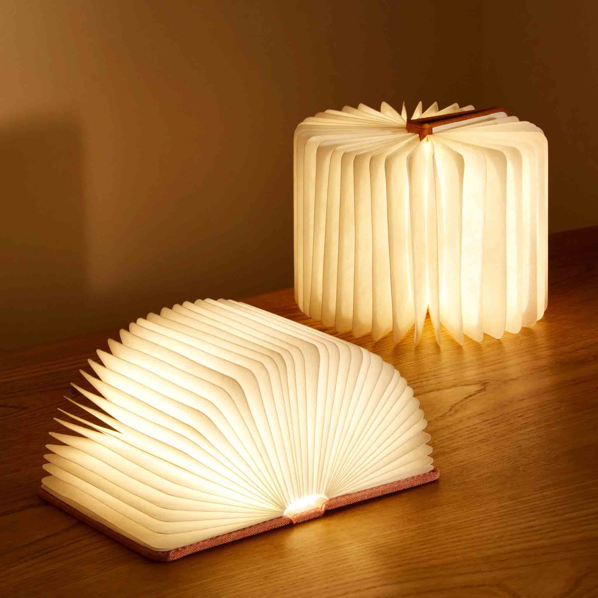 Book Lampe Livre